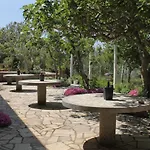 Apartman 6476a